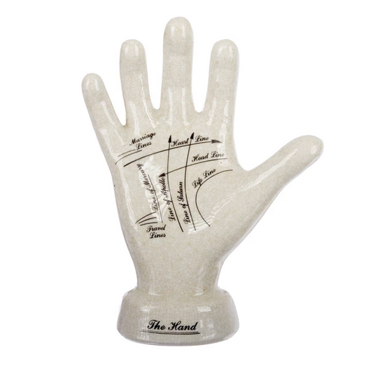 Large Palmistry hand vintage curio hand statue
