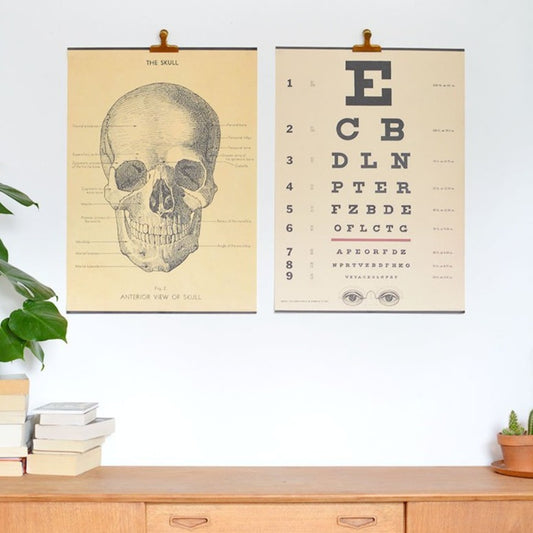 Skull vintage chart poster print