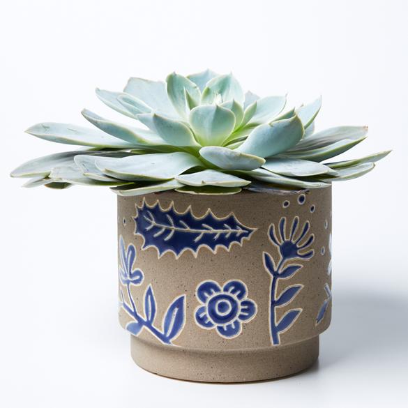 Australian native flora & animal hand made glazed clay plant pot