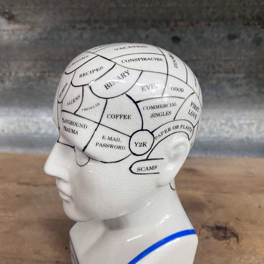 Phrenology head modern style ceramic curious bust statue