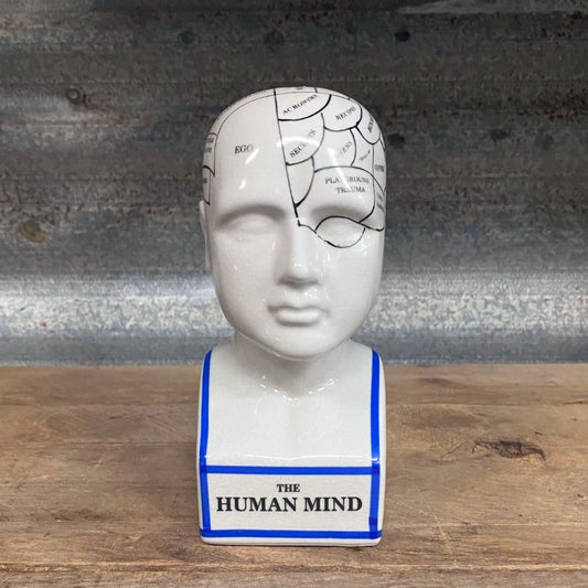 Phrenology head modern style ceramic curious bust statue