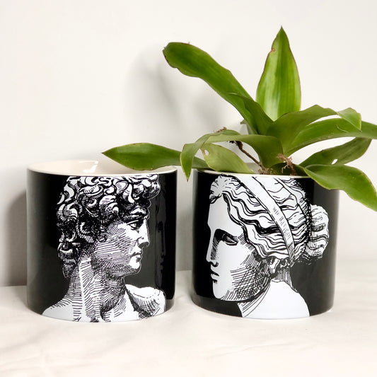 Michelangelo Ancient sculpture line drawing planter pot