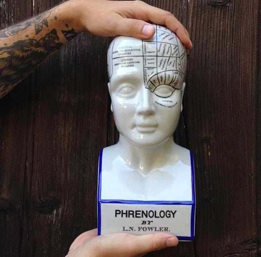 Phrenology head vintage ceramic curious bust statue