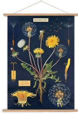 Boho dandelion vintage chart poster print