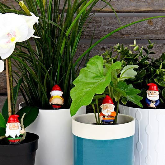 Cheeky / naughty gnomes plant lover mini statues