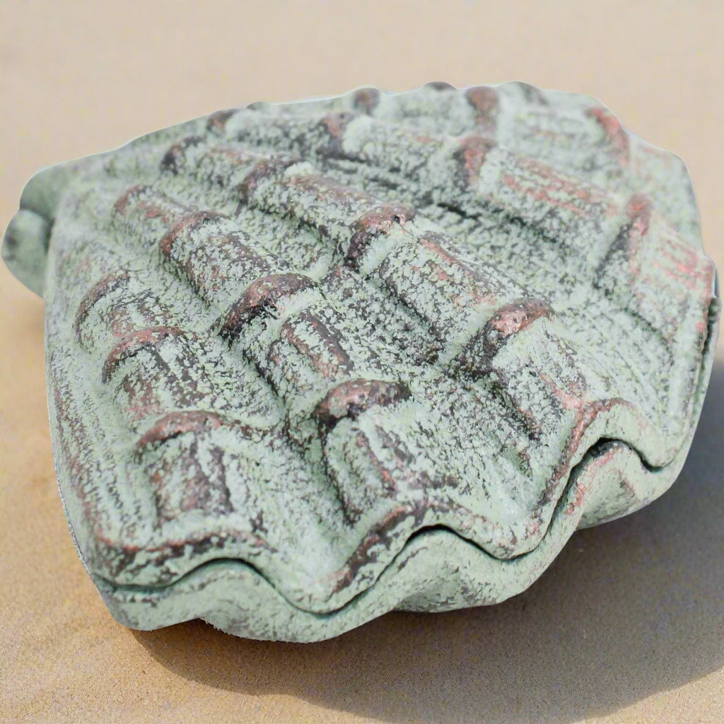 Clam shell dish