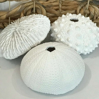 Coastal white coral decor