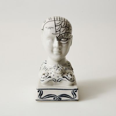 Phrenology head ceramic curious bust small statue