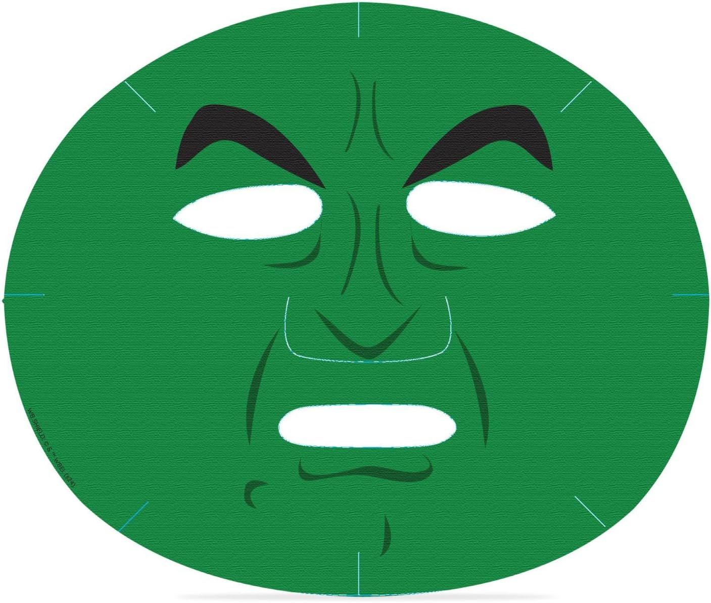 Wicked witch Wizard of Oz facial mask