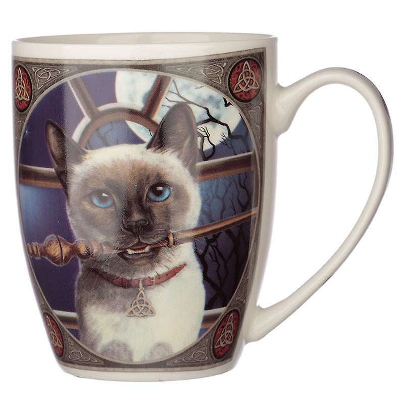 Cat with broom wiccan tea cup / mug