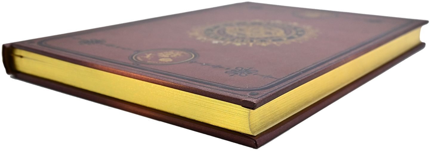 Armillary universe leather journal