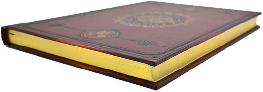 Armillary universe leather journal