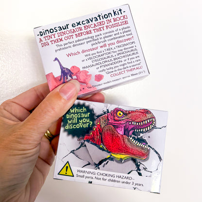 Dinosaur diy dig-out kit
