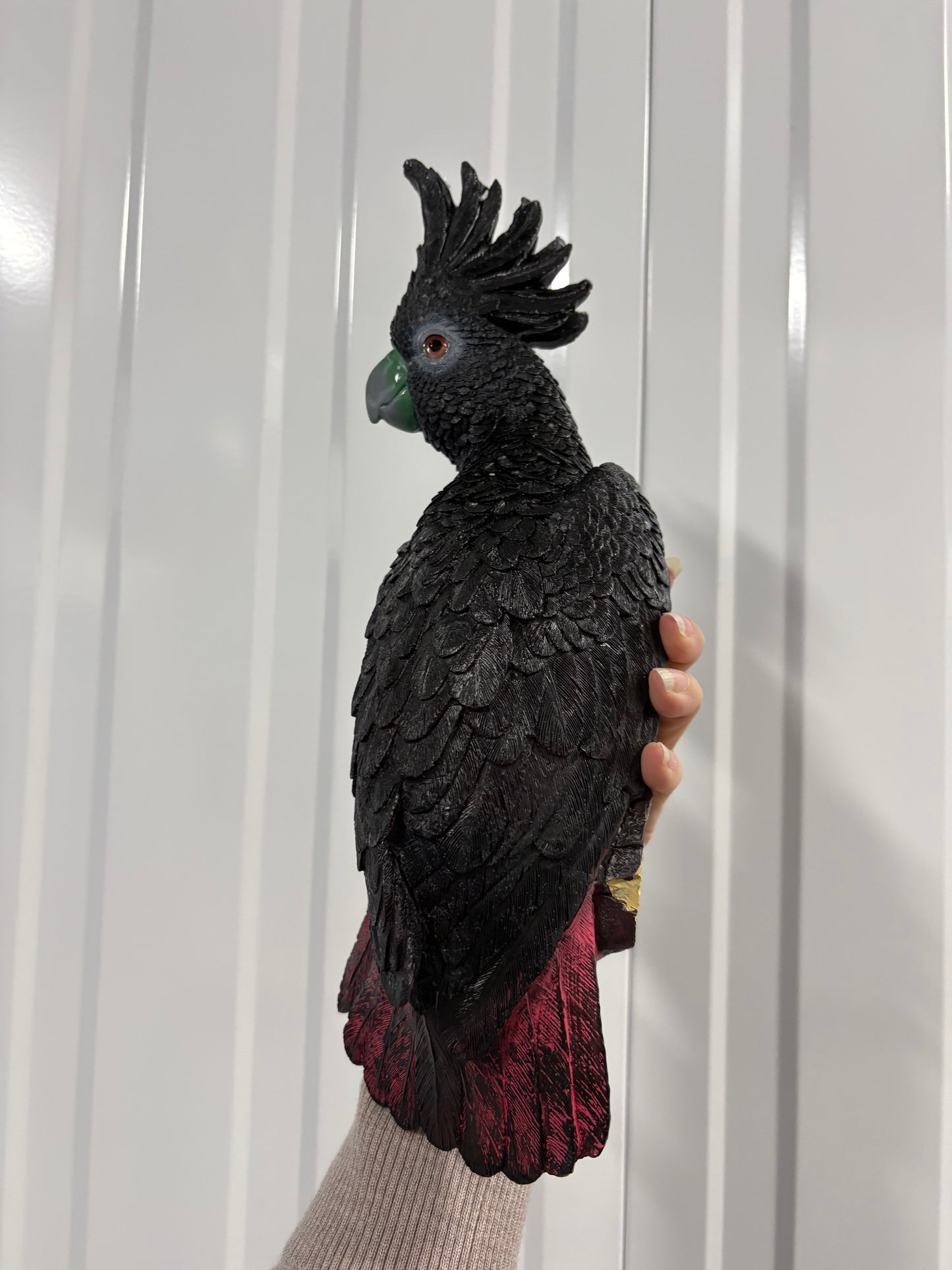 Red tail Black cockatoo or Yellow crested cockatoo bird  wall hanging