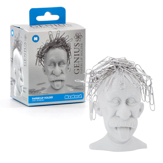 Cheeky Einstien Magnetic Desk Paperclip Holder