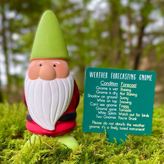 Weather telling garden gnome