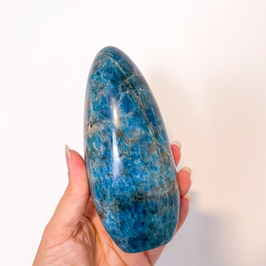 Apatite polished freeform crystal
