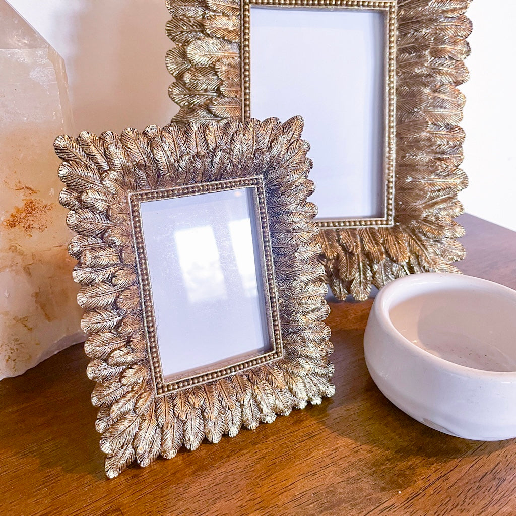 Gold feather picture frame