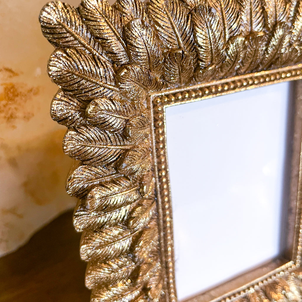Gold feather picture frame