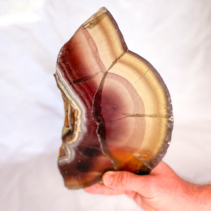 Fluorite yellow purple polished crystal slab XL lamp light