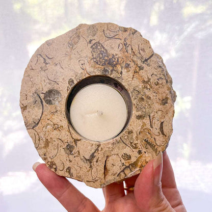 Coral Fossil crystal candle holder