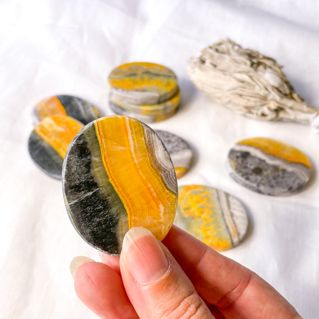 Bumblebee jasper crystal palm stone, coin or tumble
