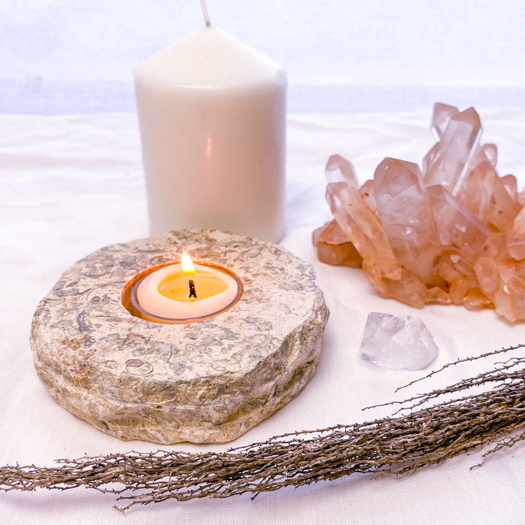 Coral Fossil crystal candle holder