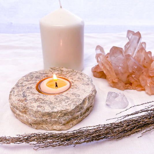 Coral Fossil crystal candle holder
