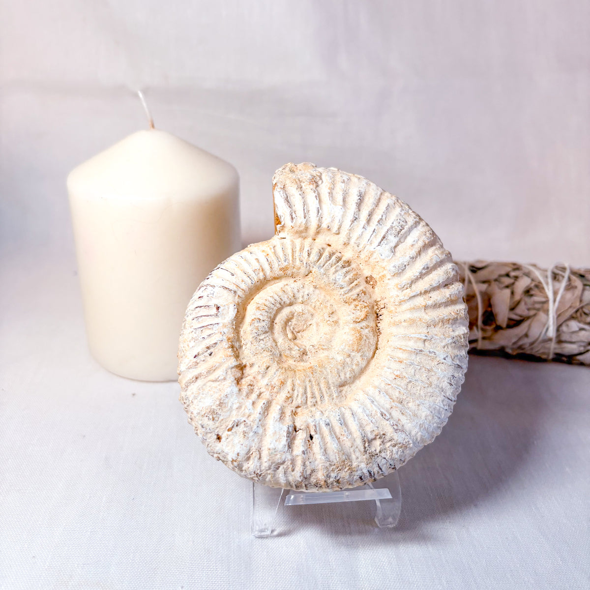 White Ammonite shell crystal whole raw