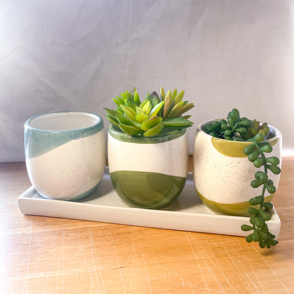 Coastal speckle ceramic planter pot - single or set