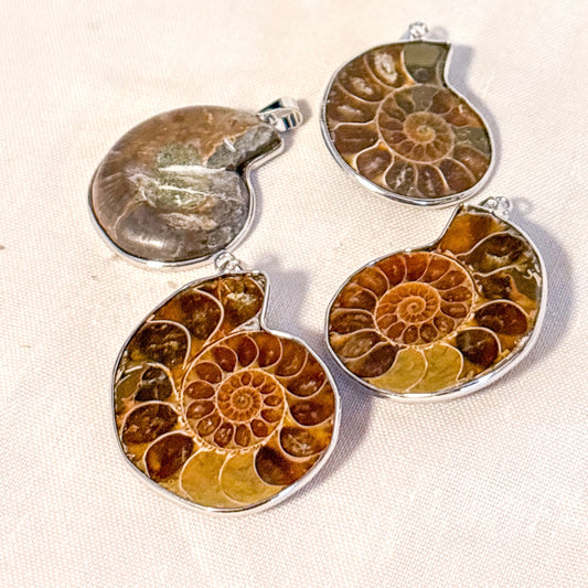 Ammonite shell crystal pendant