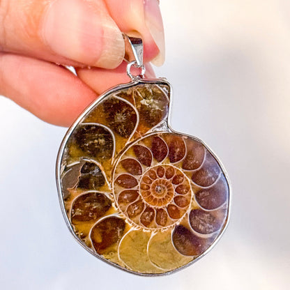Ammonite shell crystal pendant