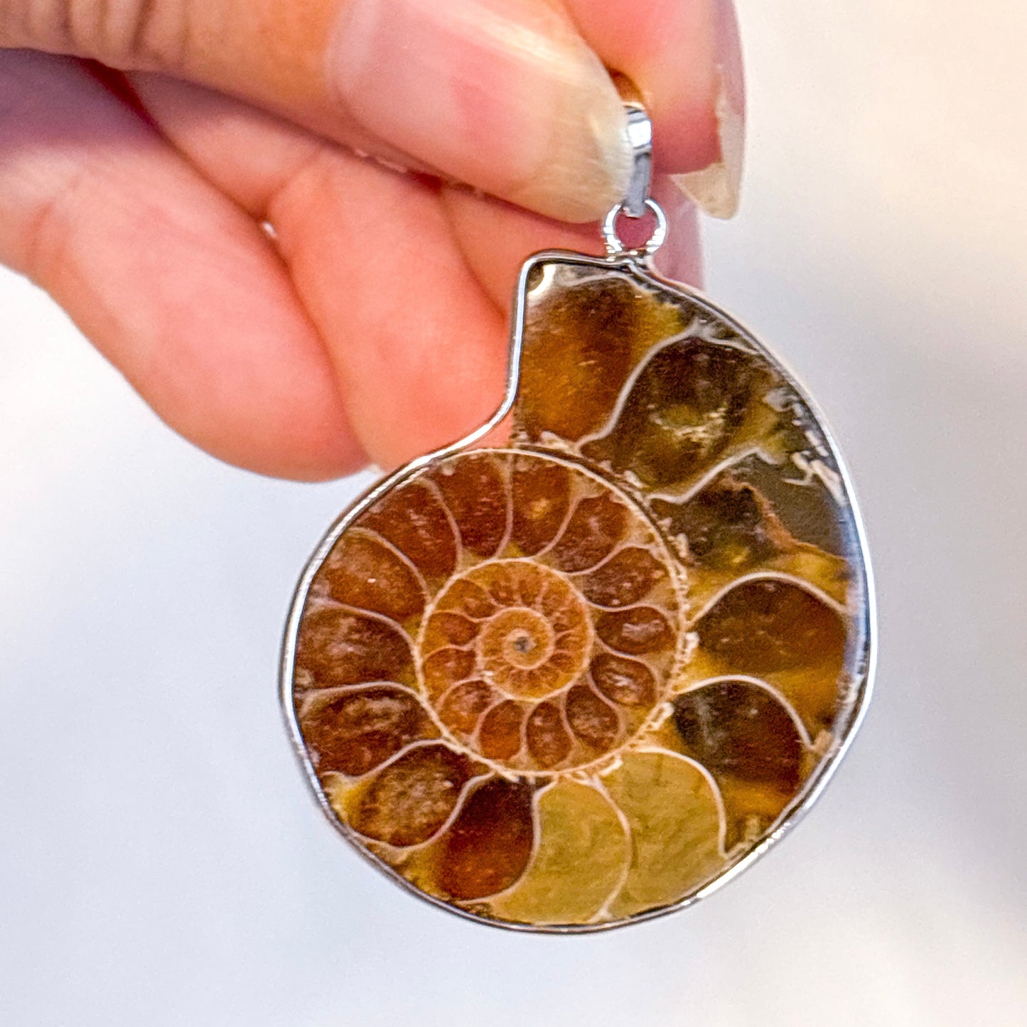 Ammonite shell crystal pendant