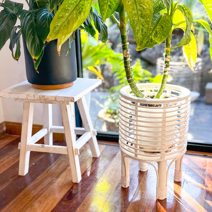 Islander white wash rattan basket plant stand