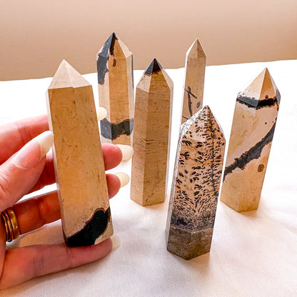 Picture Jasper crystal point tower