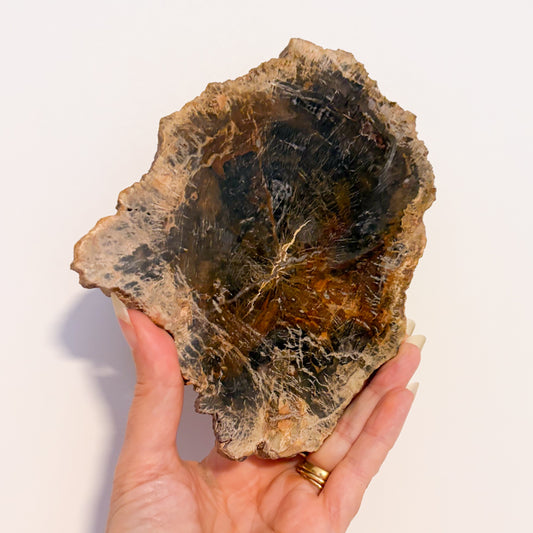 Fossilised wood slice / jurassic crystal / petrified wood slab 660g