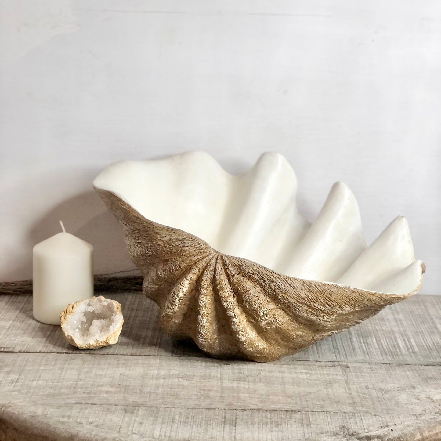 Coastal decor clam shell bowl planter - XL