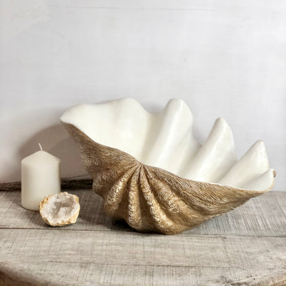 Coastal decor clam shell bowl planter - XL