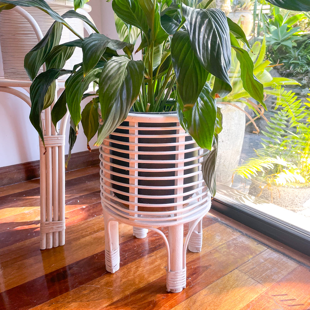 Islander white wash rattan basket plant stand