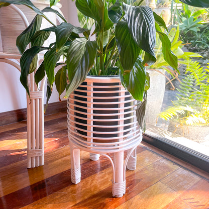 Islander white wash rattan basket plant stand