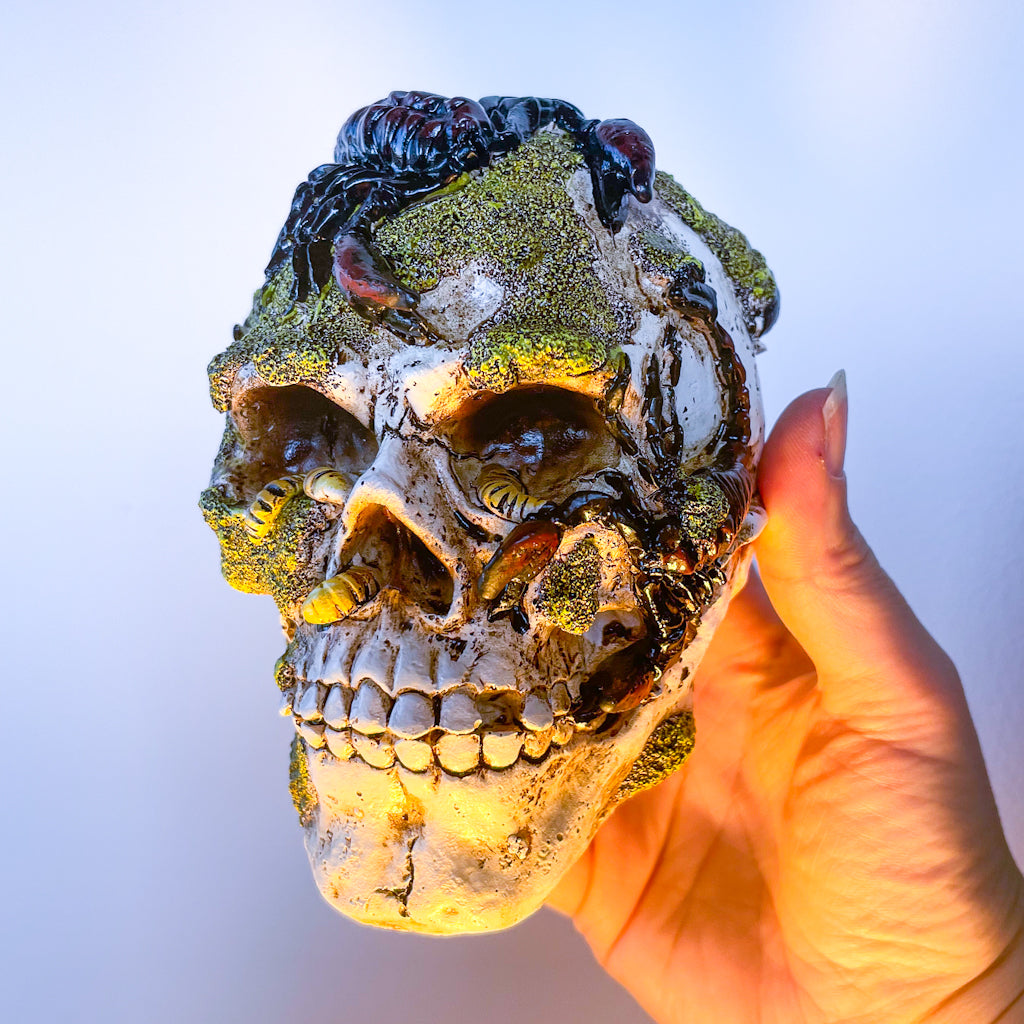 Scorpion moss skull statue
