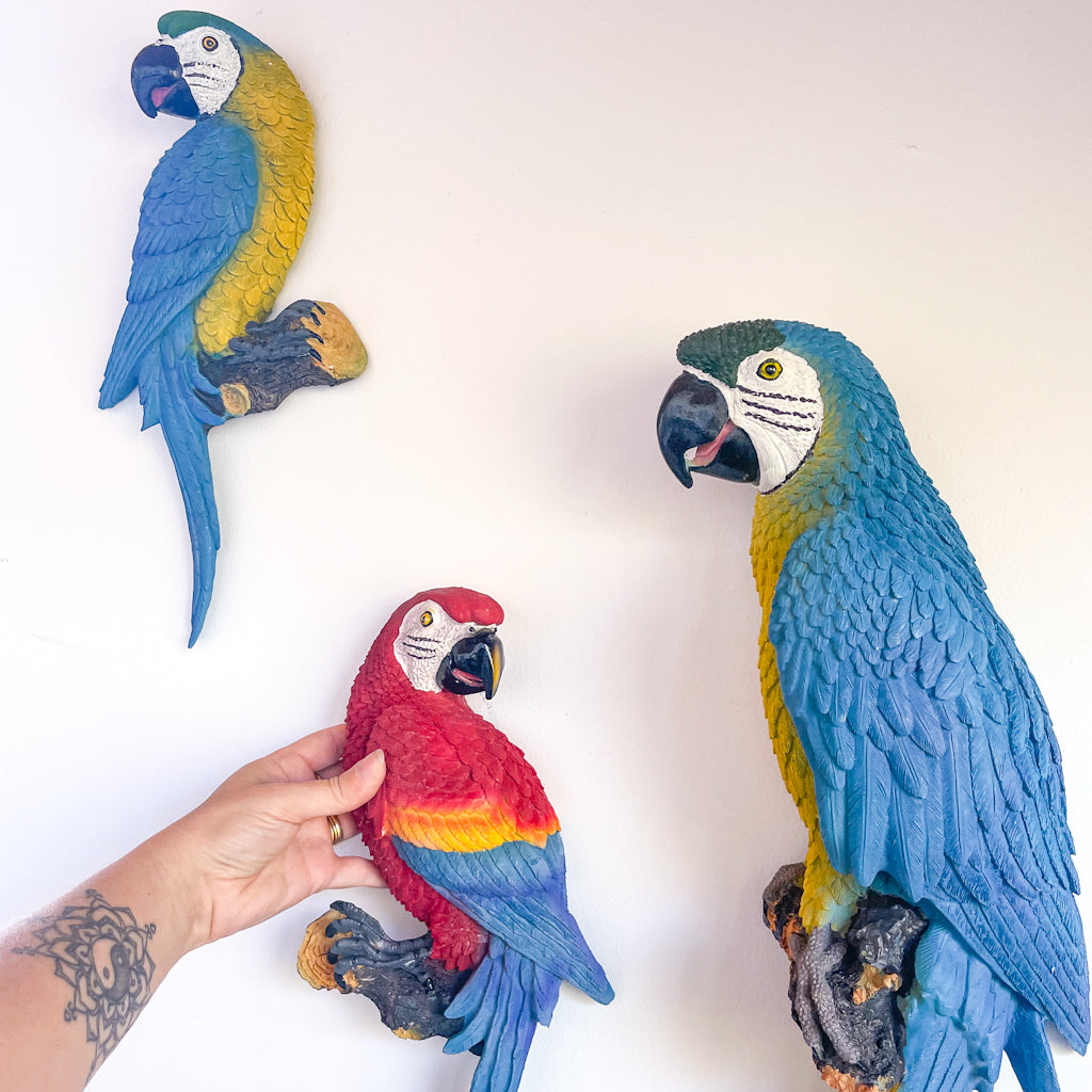 Large colourful Caribbean Macaw parrot wall hanging