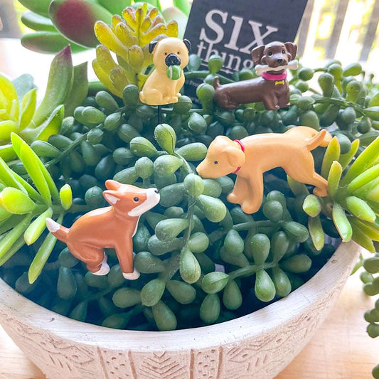 Cheeky dog gnomes plant lover mini statues