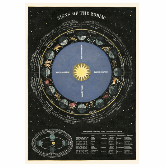 Astrology / Signs of the Zodiac / star signs vintage chart poster print