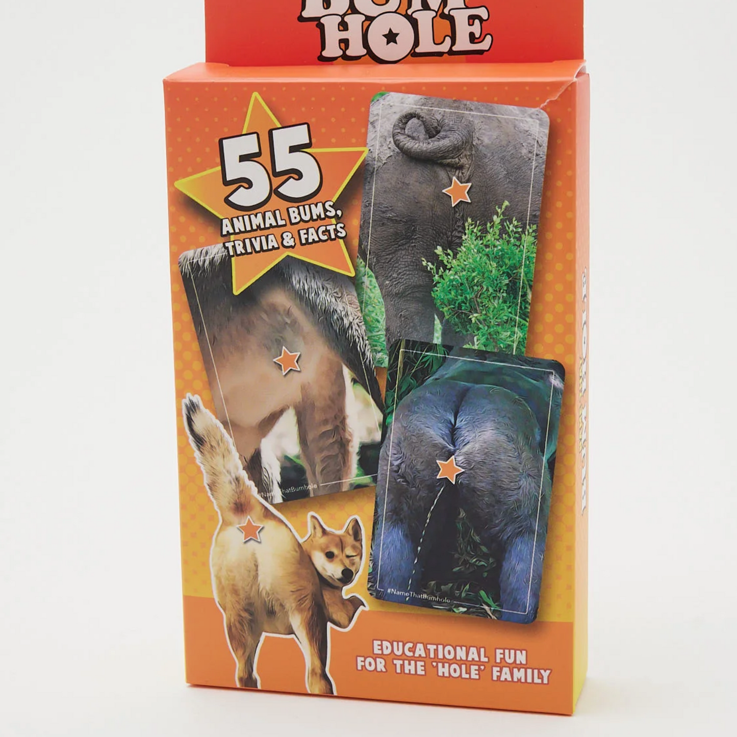 Cheeky name that butt hole trivia game