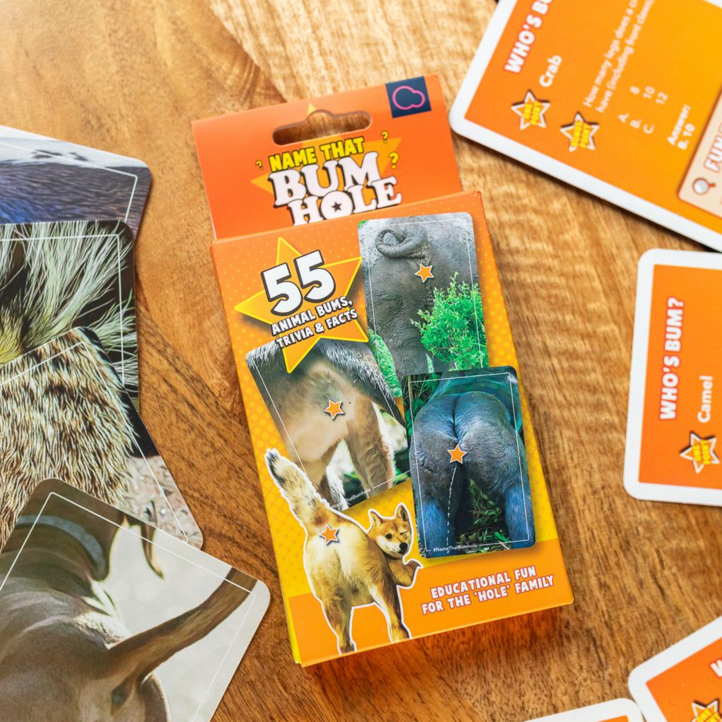 Cheeky name that butt hole trivia game