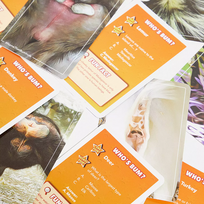 Cheeky name that butt hole trivia game