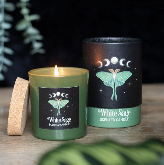 White sage moth glass candle