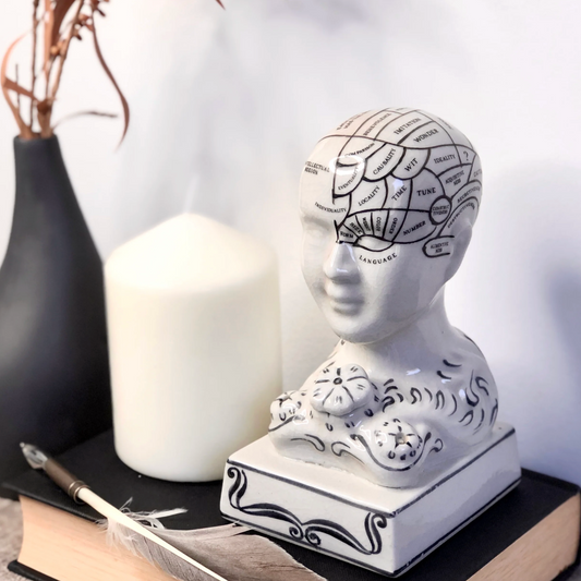 Phrenology head ceramic curious bust small statue