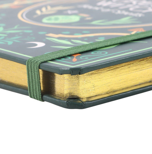 Book of shadows green witches spell journal